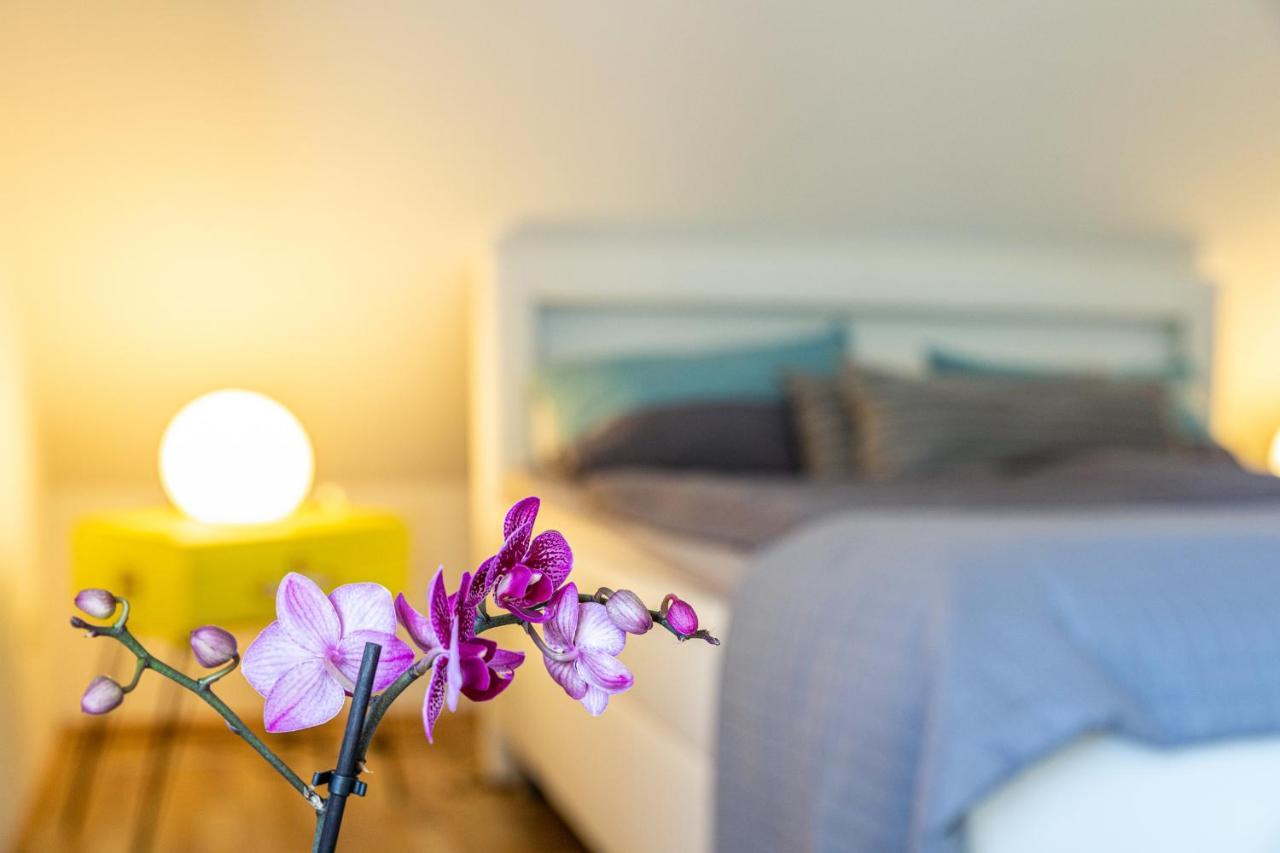 Blumenhaus-Apartment ฟรีดริชชตัดท์ ภายนอก รูปภาพ